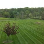 A Cut Above - Landscaping in Winchester, VA