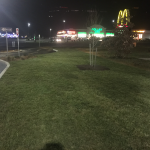 A Cut Above - Landscaping in Winchester, VA