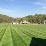 A Cut Above - Landscaping in Winchester, VA