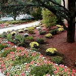 A Cut Above - Landscaping in Winchester, VA