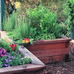 A Cut Above - Landscaping in Winchester, VA