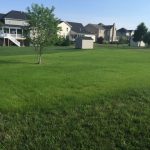 Hydroseeding & Sodding A Cut Above - Hydroseeding and Sodding in Winchester, VA