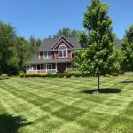Lawn Care A Cut Above - Lawncare Services in Winchester, VA
