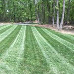 Lawn Care A Cut Above - Lawncare Services in Winchester, VA
