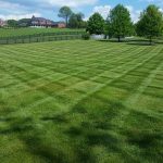 Lawn Care A Cut Above - Lawncare Services in Winchester, VA